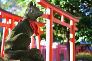Guarding Fox in Nezu Shrine