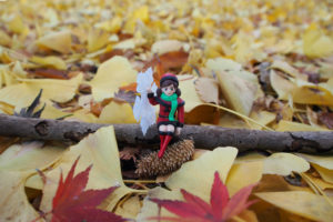 Fuchico girl in autumn