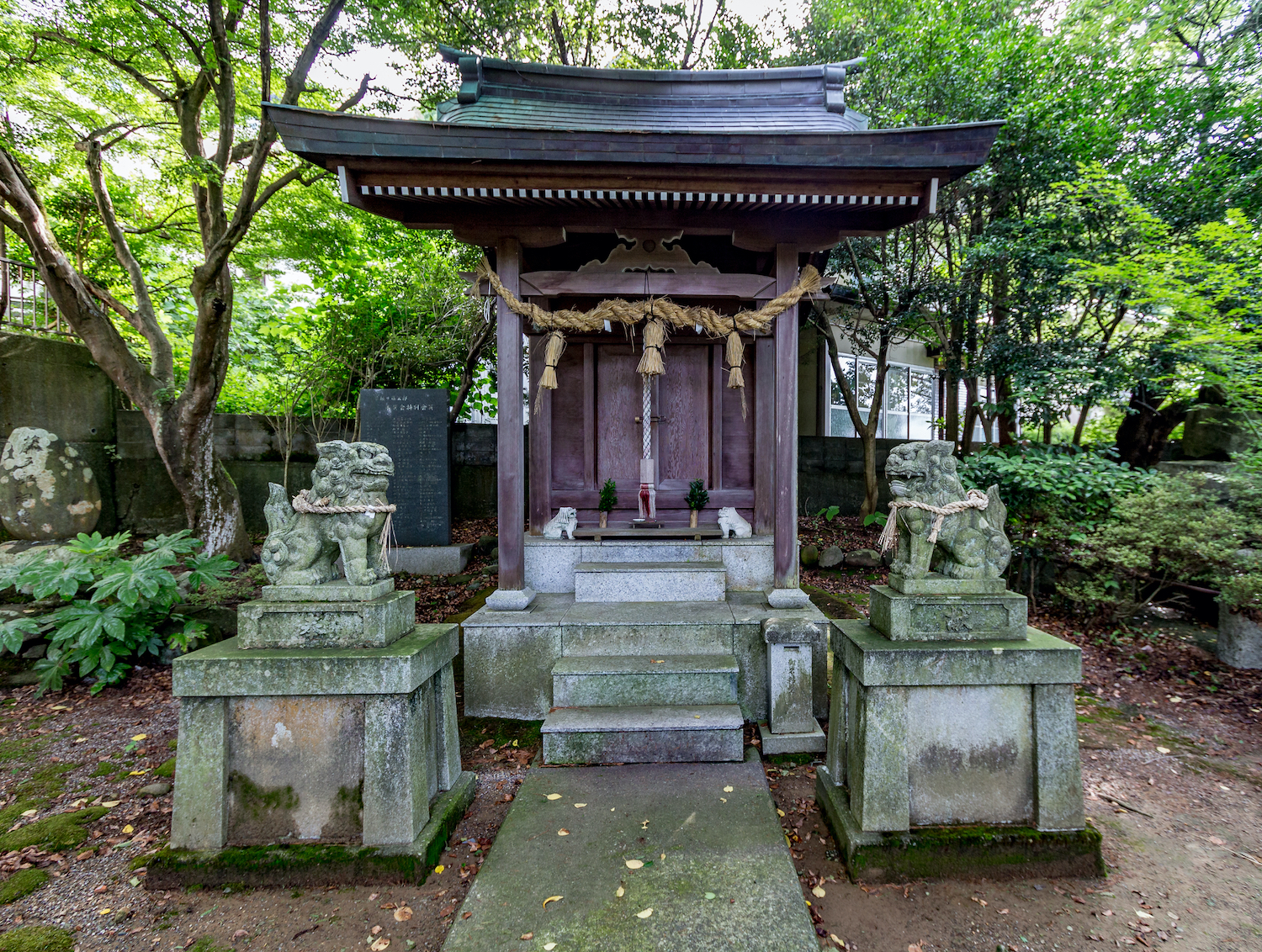 Shinto shrine, Kanazawa, Ishikawa Prefecture, Japan. In the foreground are two koma-inu, or lion-dogs. which serve as guardians of the shrine.