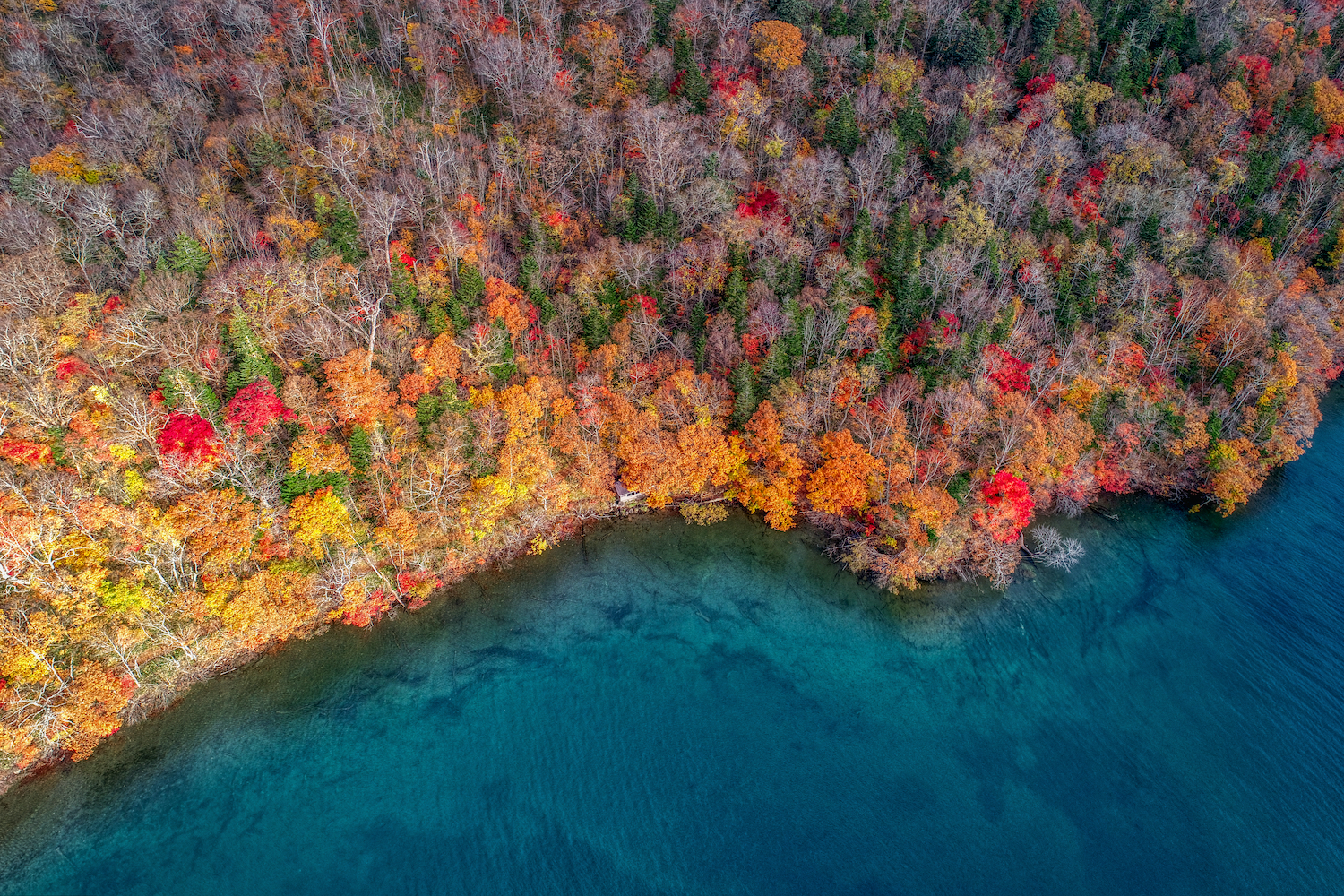 Lake Kussyaro, Hokkaido in autumn
