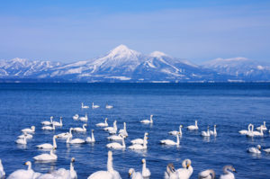 "It is Lake Inawashiro and Mt. Bandai" the beautiful winter scenery of Fukushima.