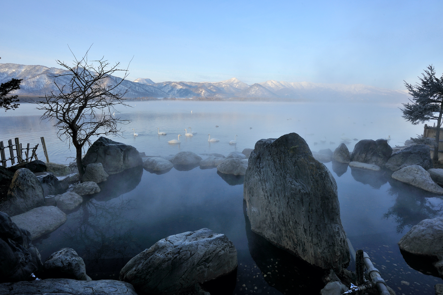 Outdoor hot spring bath in Kotan onsen with swans, Kussharo lake in Hokkaido, Japan