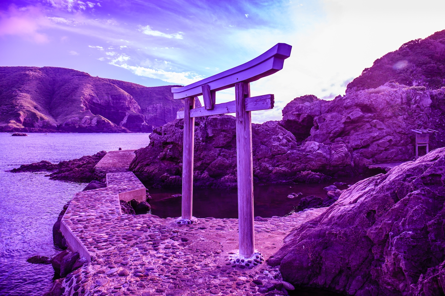 Viewed from a hiking trail, a purple tinted photo of a sacred Shinto torii gate beside the sea on a famous island at sunset.
