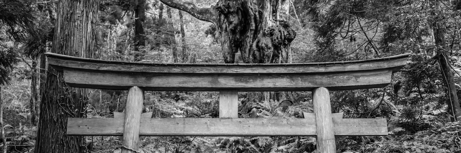 Viewed from a hiking trail, a black and white photo of an old, weathered, sacred Shinto torii gate in a dense jungle rainforest on an island in Japan.