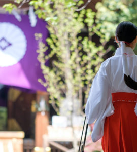 Young Miko at a Shinto shrine in Tokyo on a clear morning in Spring. A Miko is a shrine maiden or a supplementary priestess trained to perform sacred tasks in Japan.