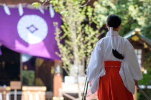 Young Miko at a Shinto shrine in Tokyo on a clear morning in Spring. A Miko is a shrine maiden or a supplementary priestess trained to perform sacred tasks in Japan.