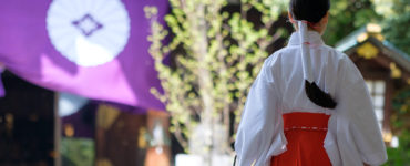 Young Miko at a Shinto shrine in Tokyo on a clear morning in Spring. A Miko is a shrine maiden or a supplementary priestess trained to perform sacred tasks in Japan.