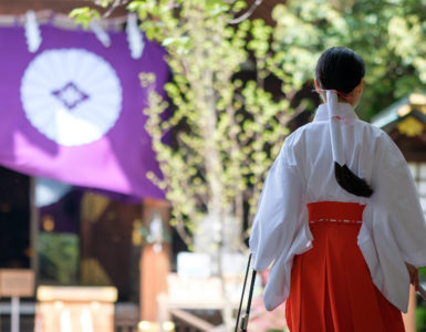 Young Miko at a Shinto shrine in Tokyo on a clear morning in Spring. A Miko is a shrine maiden or a supplementary priestess trained to perform sacred tasks in Japan.