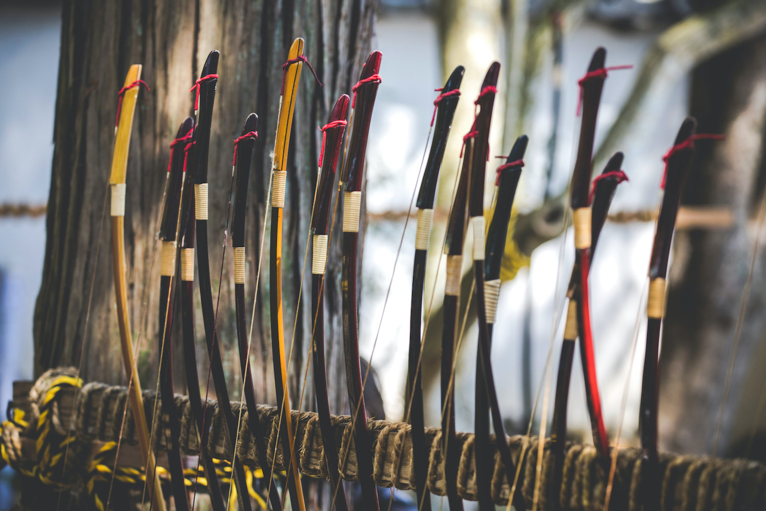 Japanese archery bows