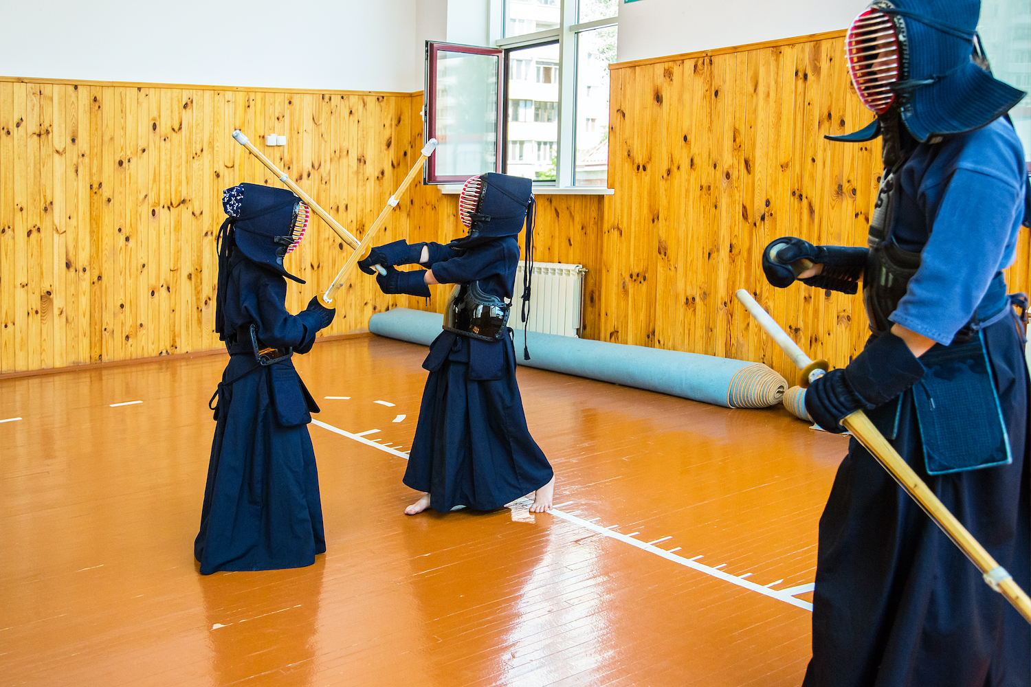 Japanese martial art of fighting the sword. School for children and adults.