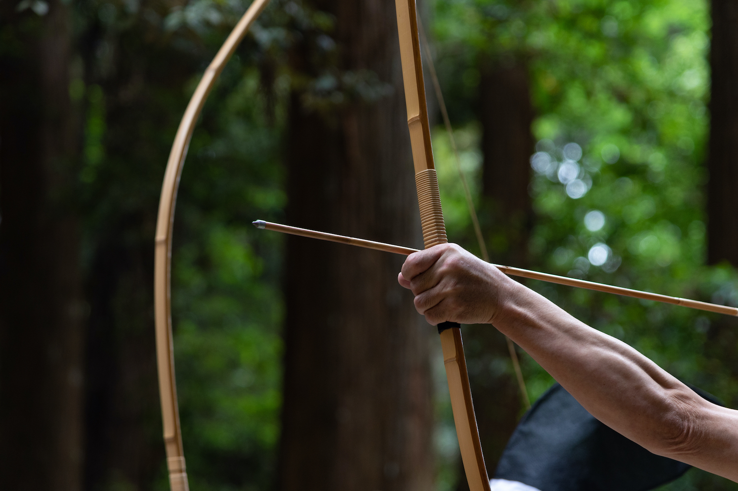 Traditional Japanese style archery (Kyujutsu)