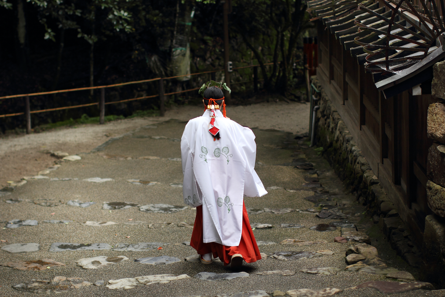 Miko - Shinto priestess walking down the stairs of the old shrine in Kyoto (Kamigamo Jinja)