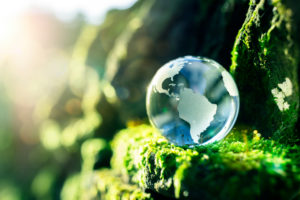 Glass globe in the forest