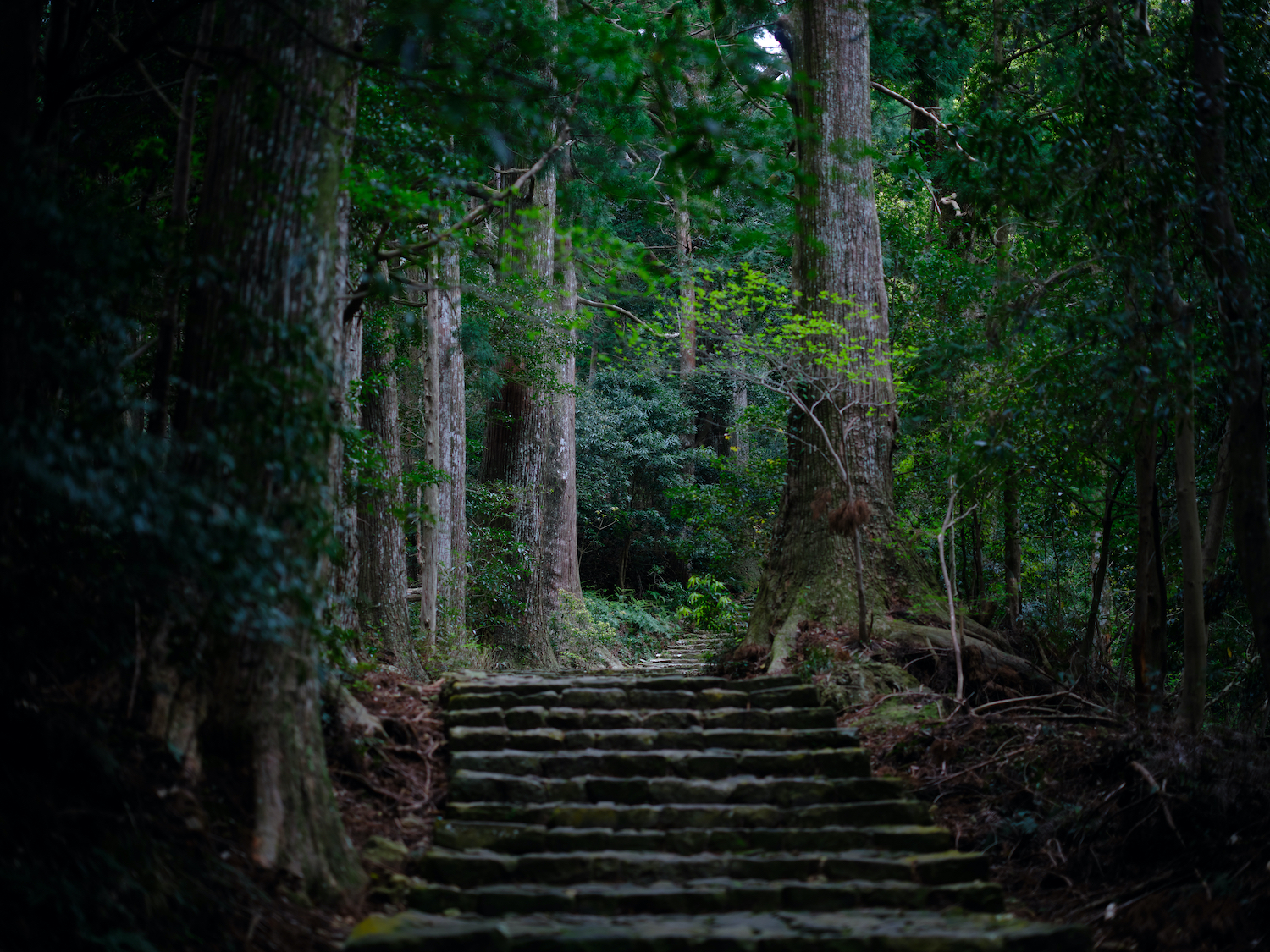 Kumano Kodo in Wakayama, Japan