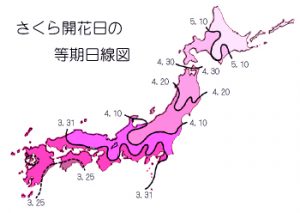Sakura Front Map for Average Year