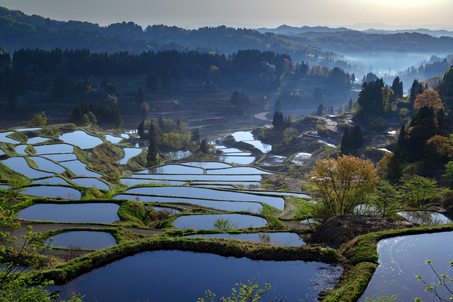 Hoshitouge Rice Terrace-spring scenery, Tokamachi City, Niigata Prefecture, Japan