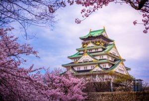 Osaka Castle Sakura