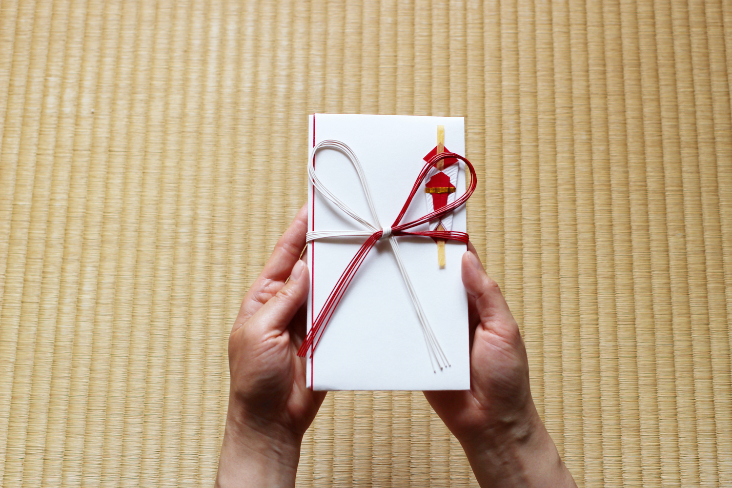 Holding Noshi, Japanese envelop for gift 