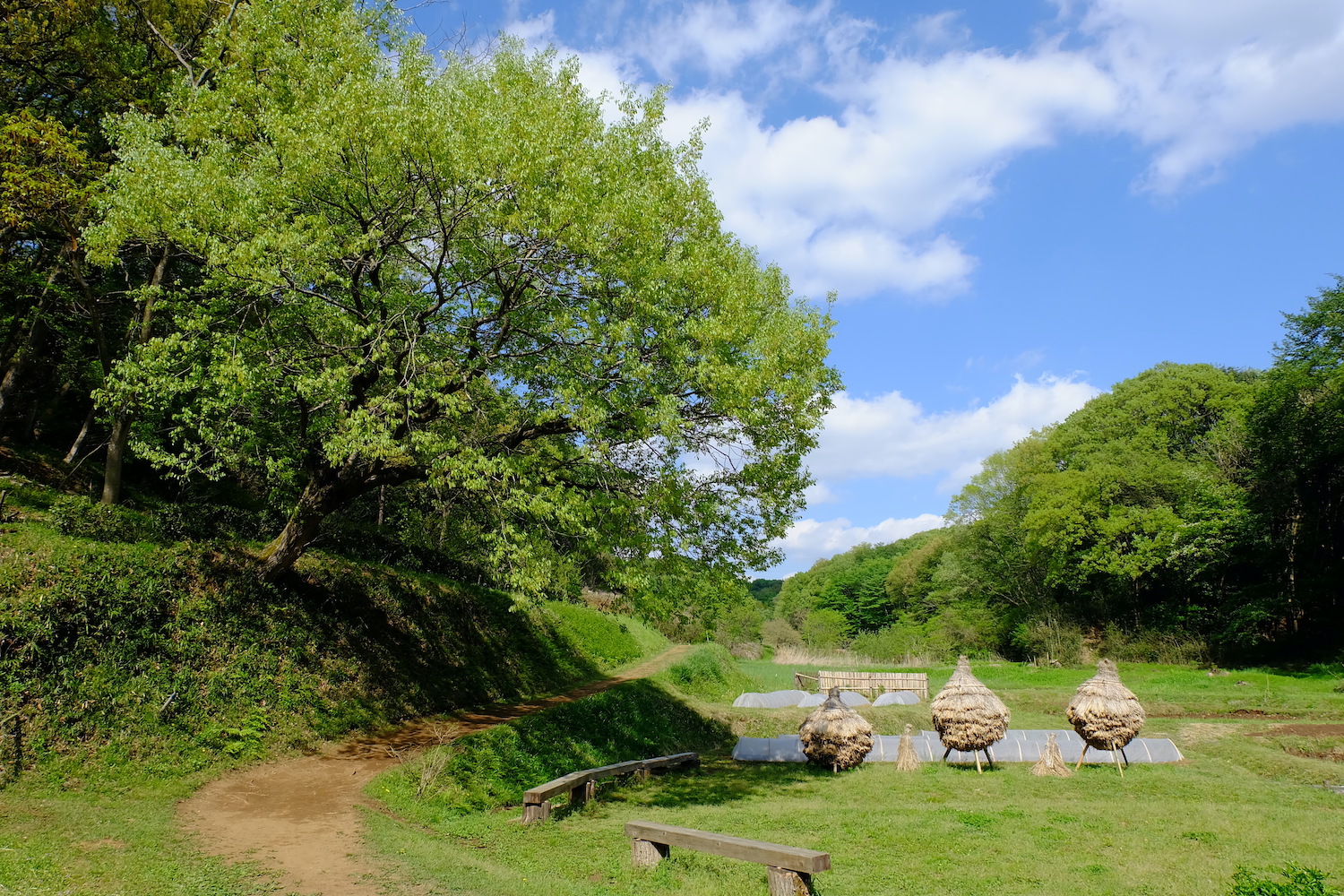 Satoyama landscape in spring in Japan