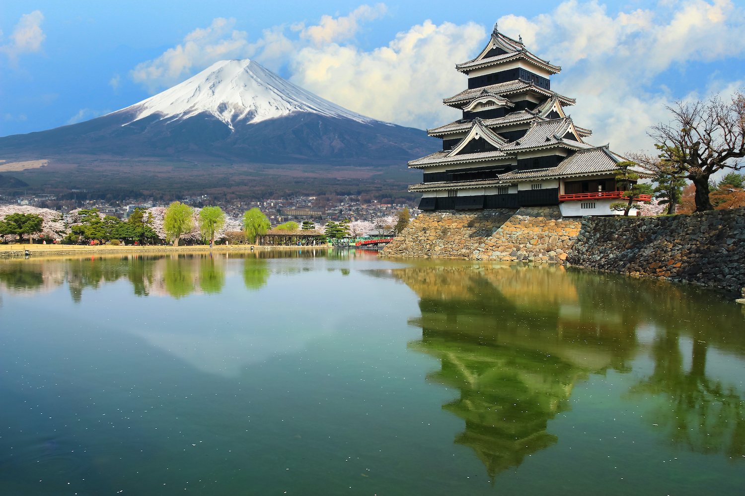 Matsumoto Castle and mountain Fuji background with and beautiful sakura cherry blossom festival, One of Japan's premier historic castles.