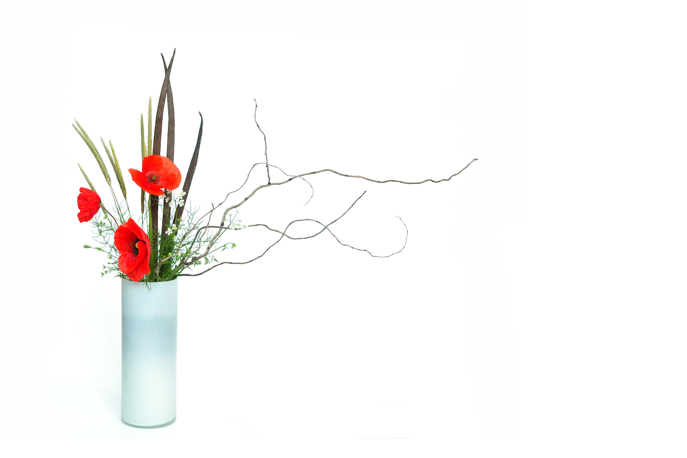 The three red poppy ikebana, nageire style on white background