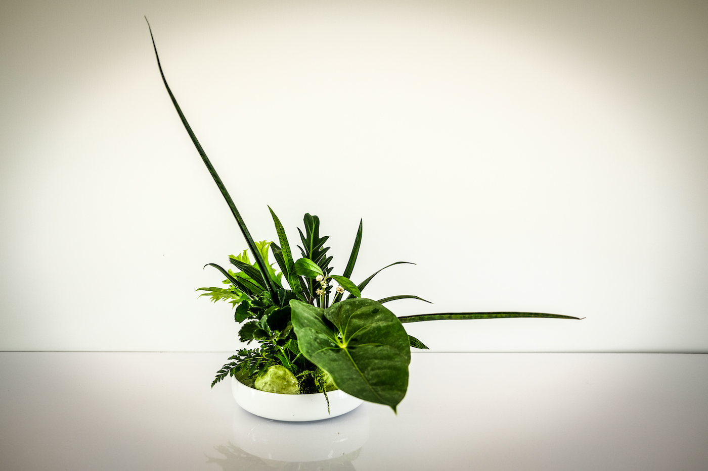 Green leaves arrangement in Japanese ikebana style