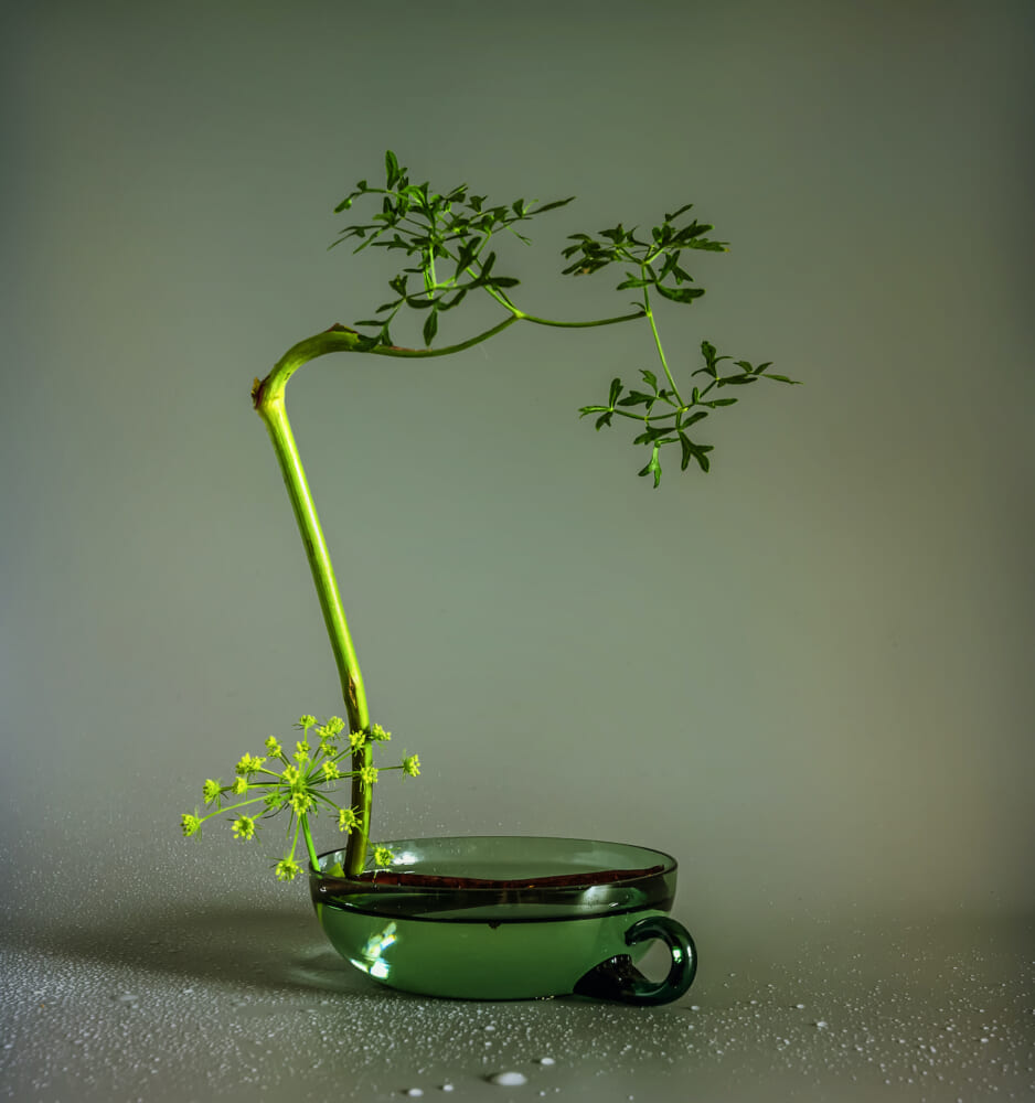 Flower arrangement with a minimum number of plants. Ikebana. Minimalism.