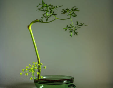 Flower arrangement with a minimum number of plants in a shallow base. Ikebana.