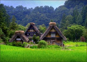 Houses in Shirakawago in Gifu, the world heritage