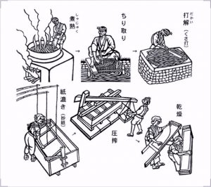 The process of Japanese Traditional Papermaking
