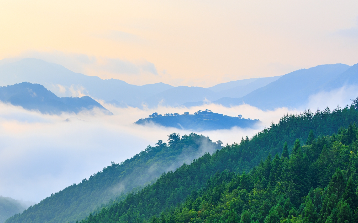 Heavy fog and mist surrounds forested mountain peaks at dawn