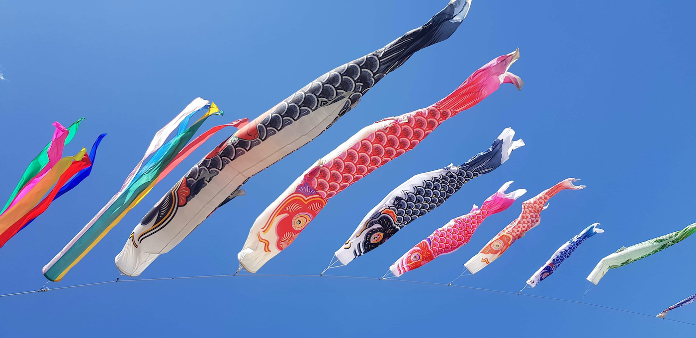 Traditionally, decorated with a flag that is shaped like a fish in a variety of colors called "Koinobori", which can see the flag of this carp, swim all over the sky.