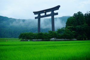 The Torii Gate at a rice field in Kumano, Mie, Japan