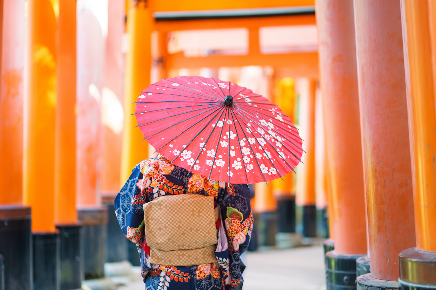 Geisha wearing Japanese kimono among red wooden Tori Gate at Fushimi Inari Shrine in Kyoto, Kimono is a Japanese traditional garment. The word "kimono", actually means a "thing to wear"