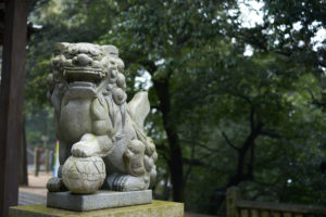 Komainu, or lion-dog, statue at jinja shrine, Japan. Komainu are the guardians of shinto shrines and sometimes temples.