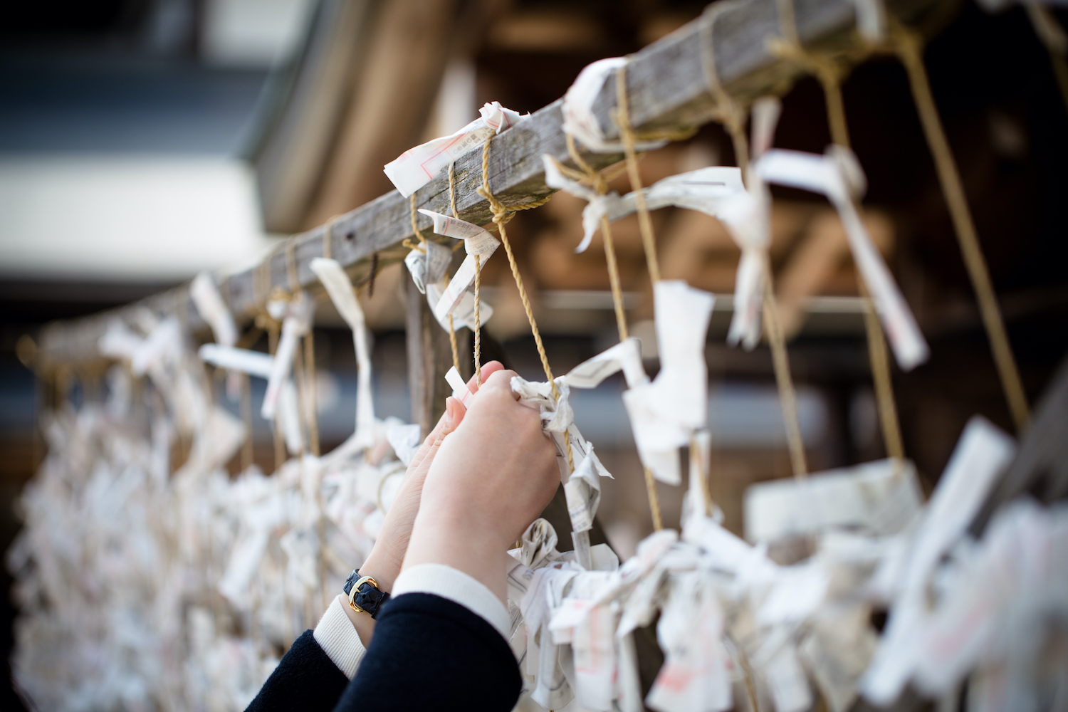 'Omikuji' at Yasaka Shrine, Japan. Omikuji is a fortune-telling paper strip. People leave the omikuji behind if it's not a good one.