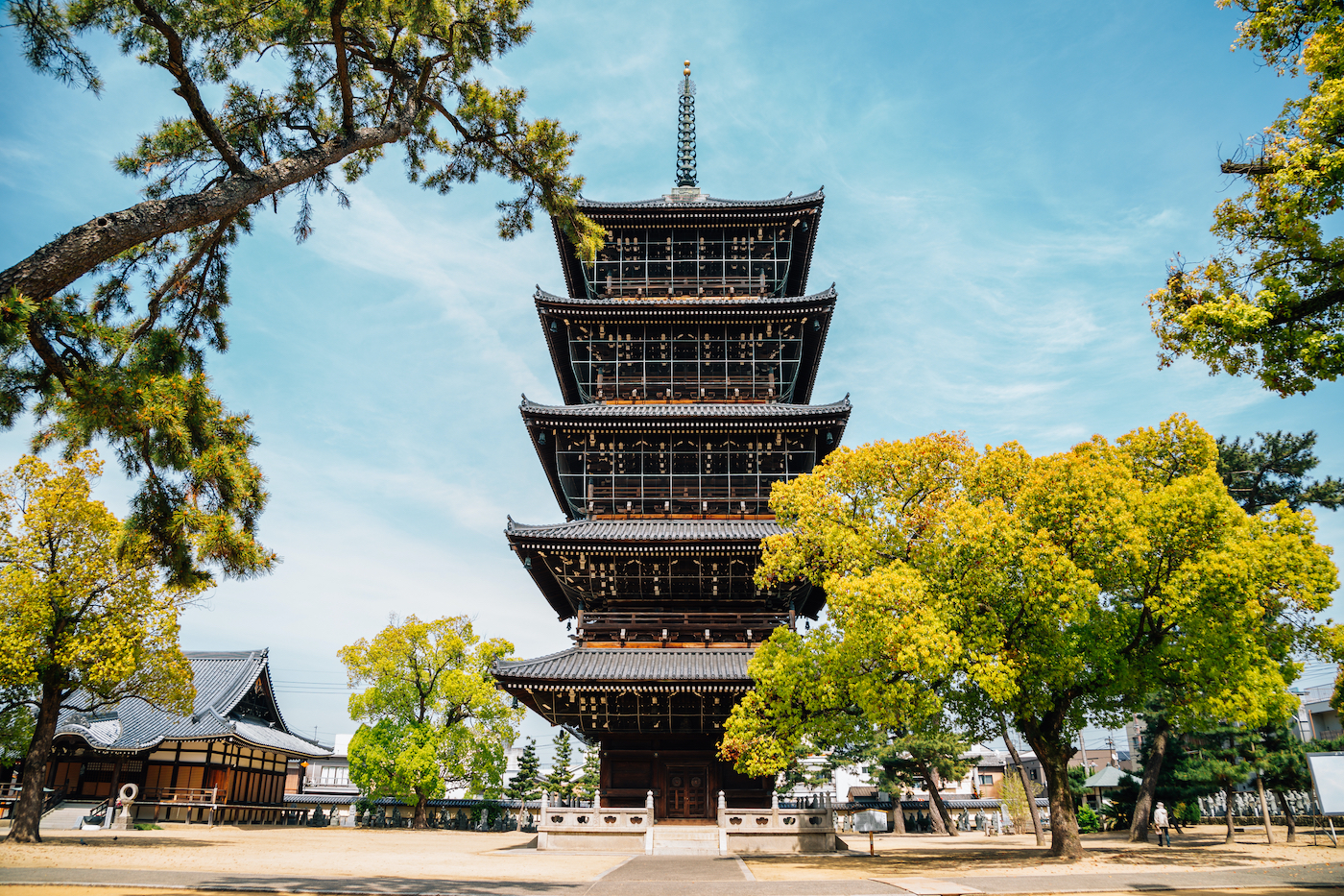 Zentsu-ji temple at spring in Kagawa, Japan