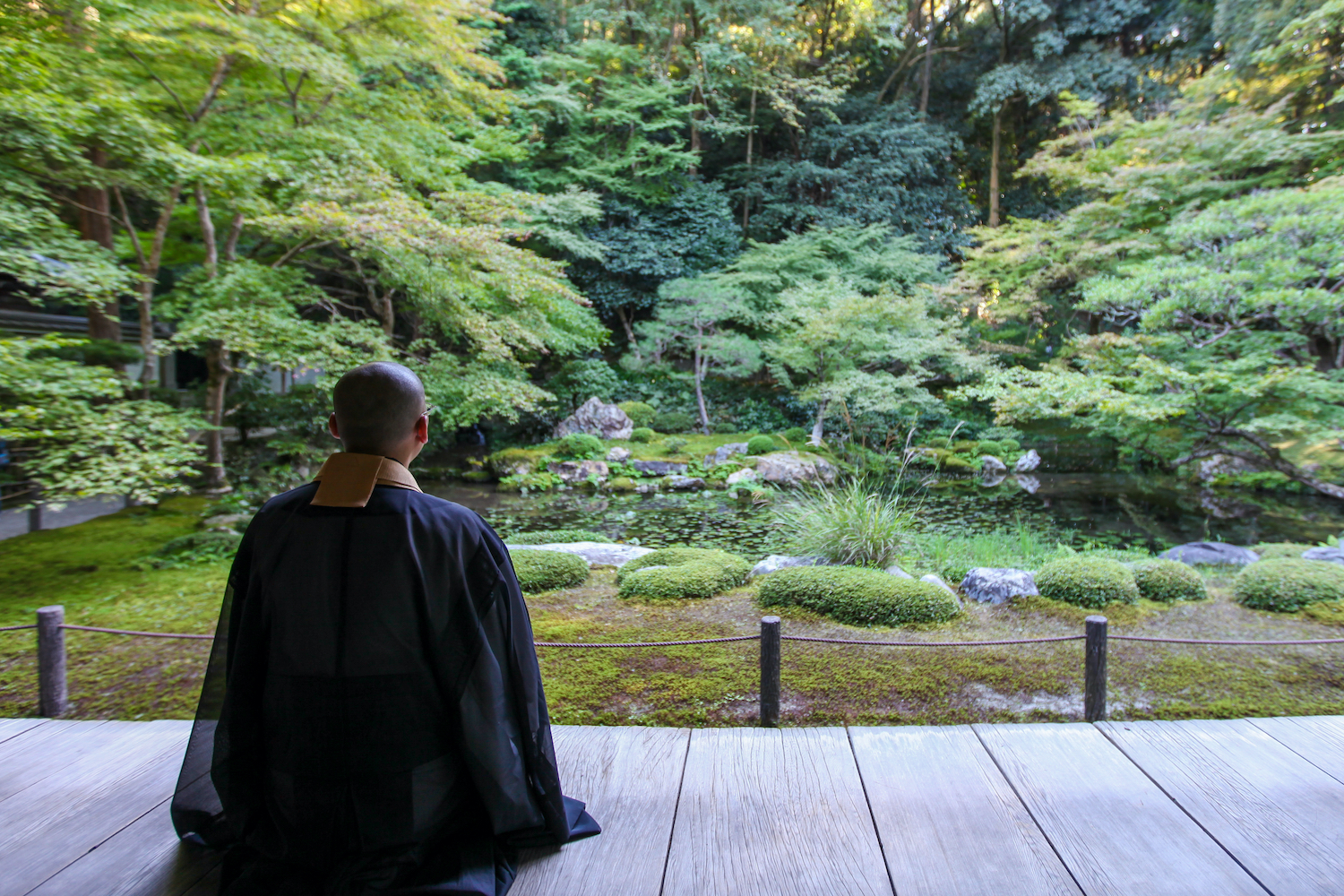 Japanese Buddhist Monk sits in front of a green garden