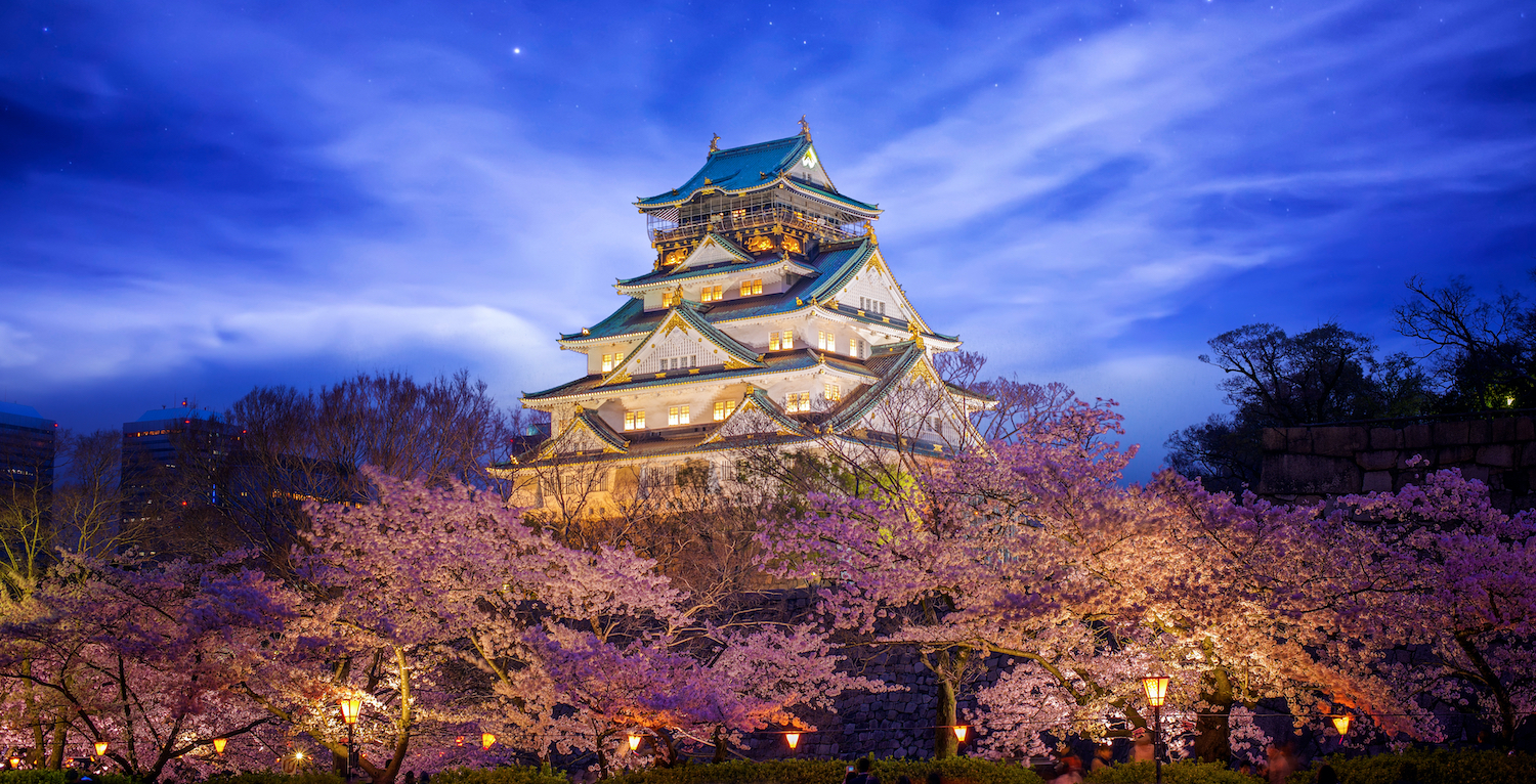 Himeji Castle in Osaka, Japan with full bloom of Sakura at night