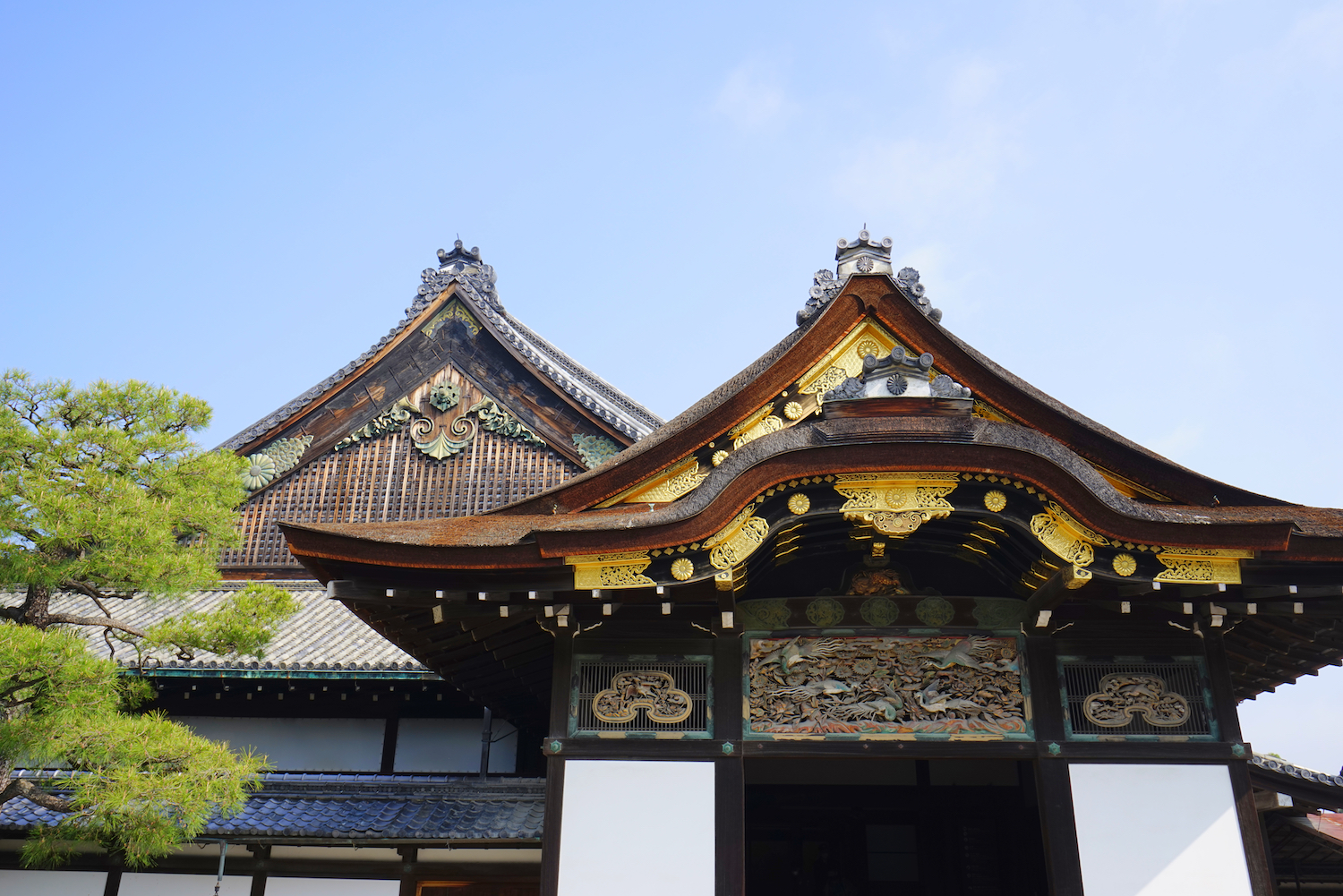 Nijojo-jo Castle in Kyoto City, Kyoto Pref., Japan