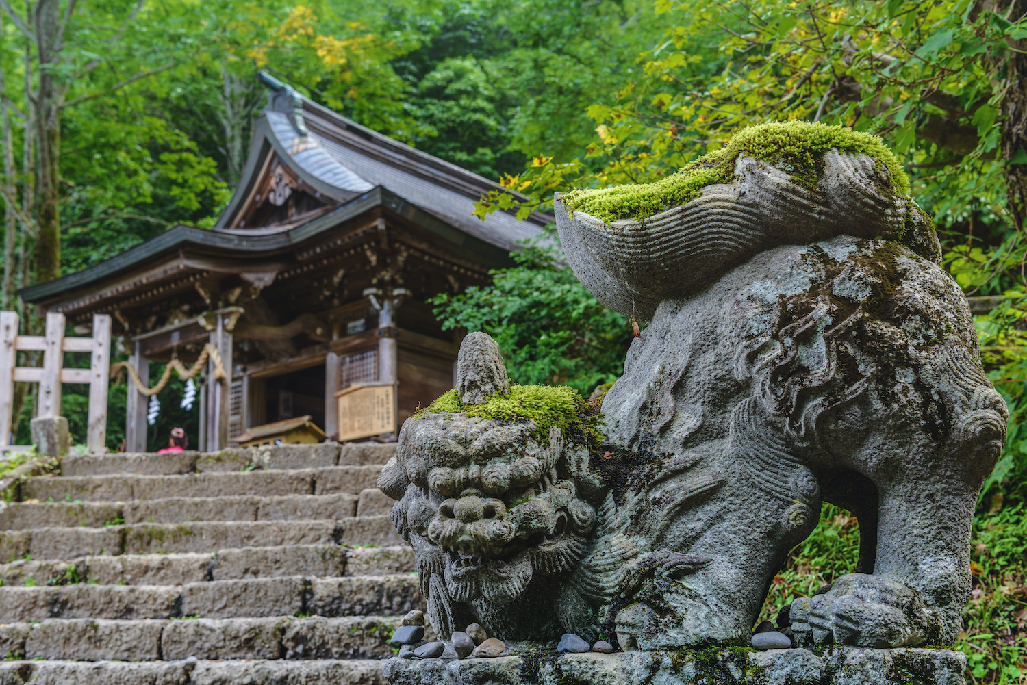 Togakushi shrine with its guardian dog in Nagano, Japan