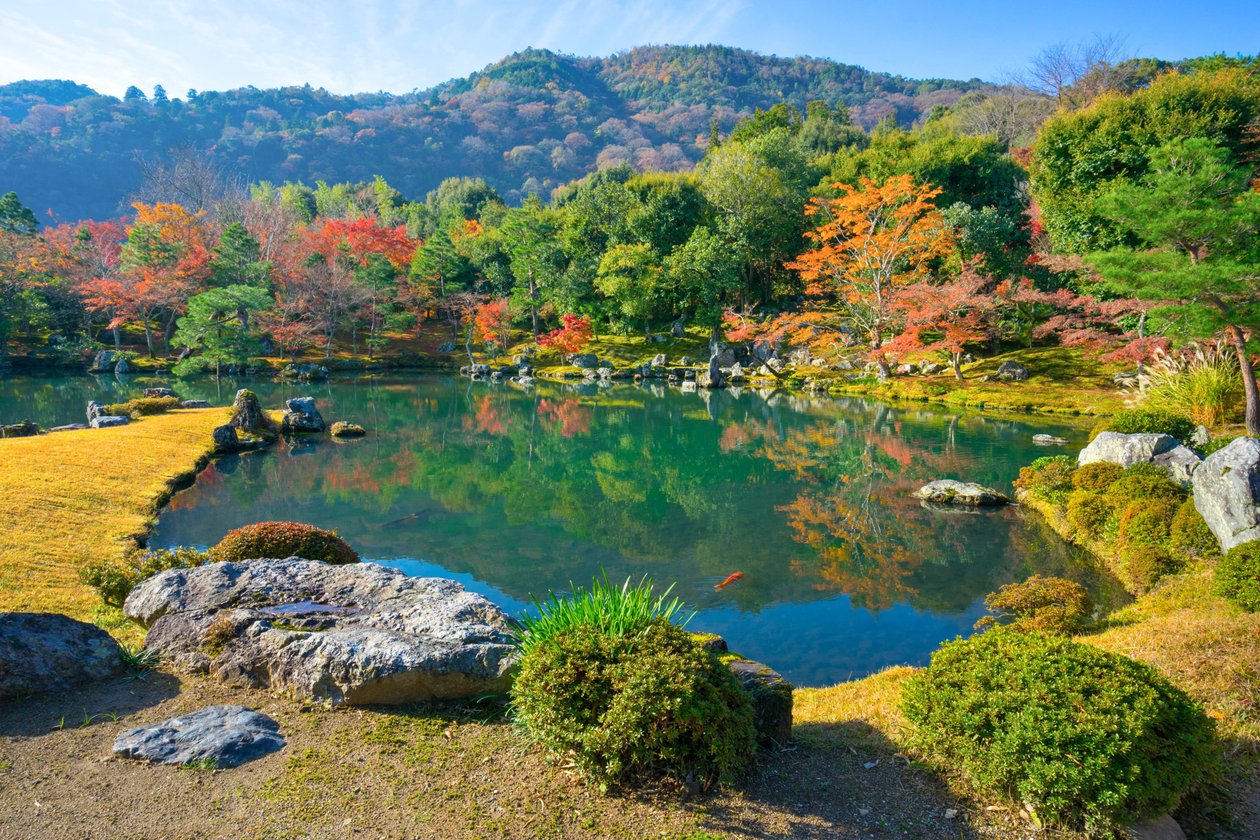 Sogenchi pond garden at Tenryuji Temple in Kyoto, Japan