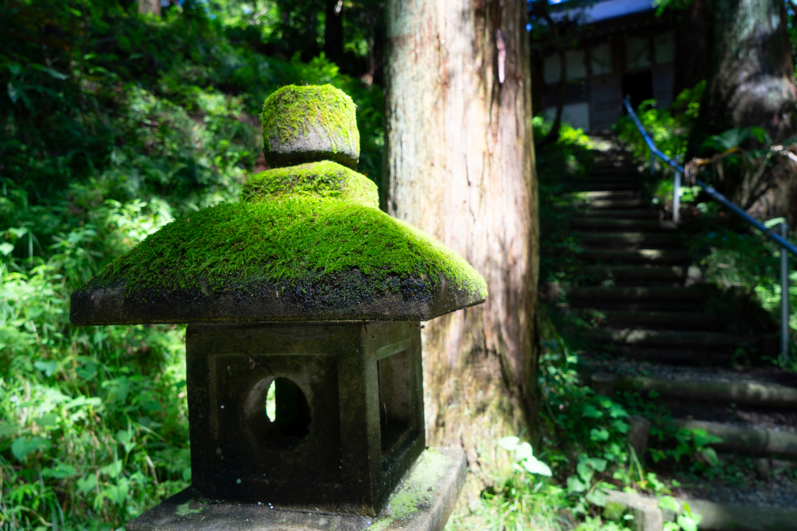 Stone lantern with moss