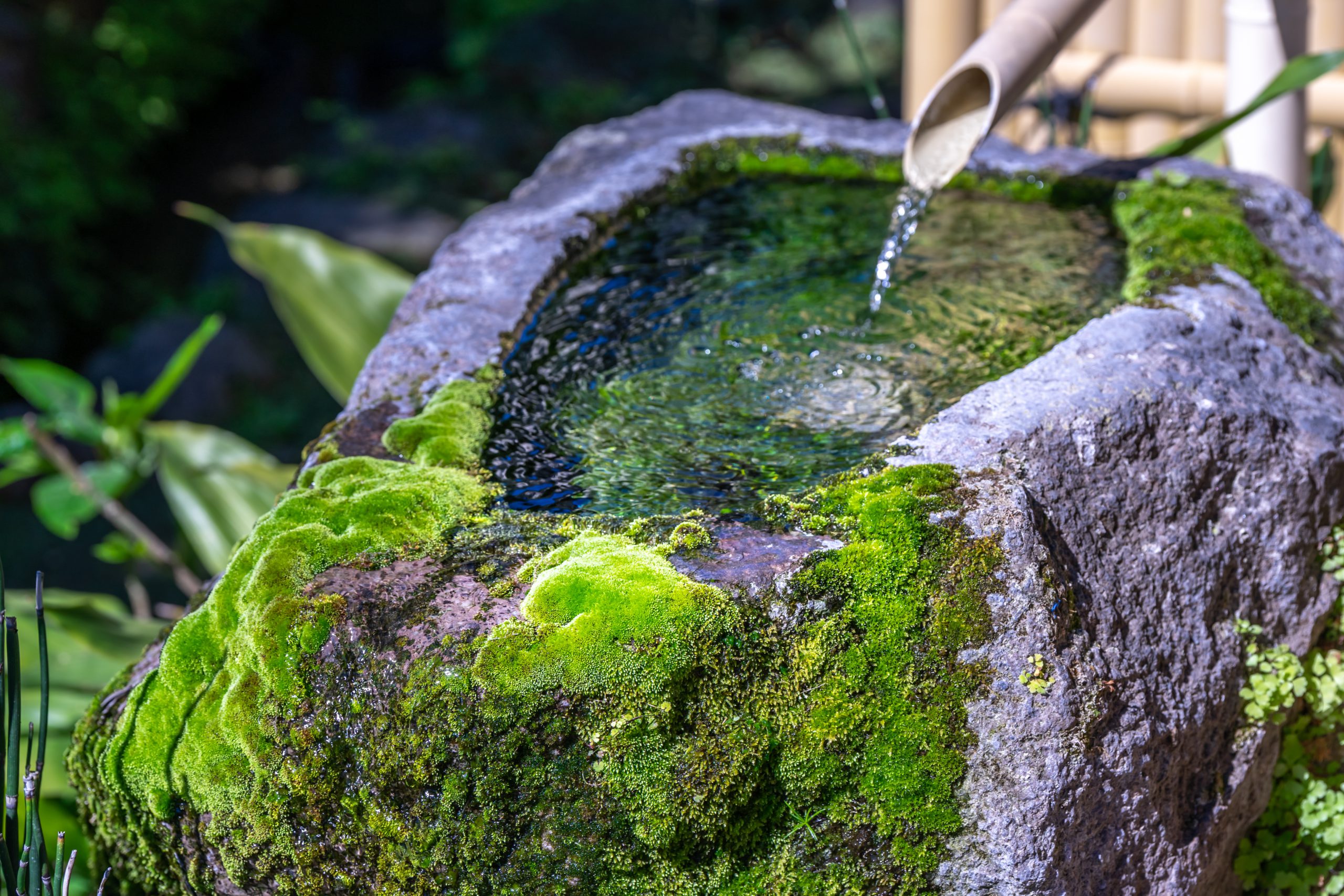 Tsukubai-Japanese water basin