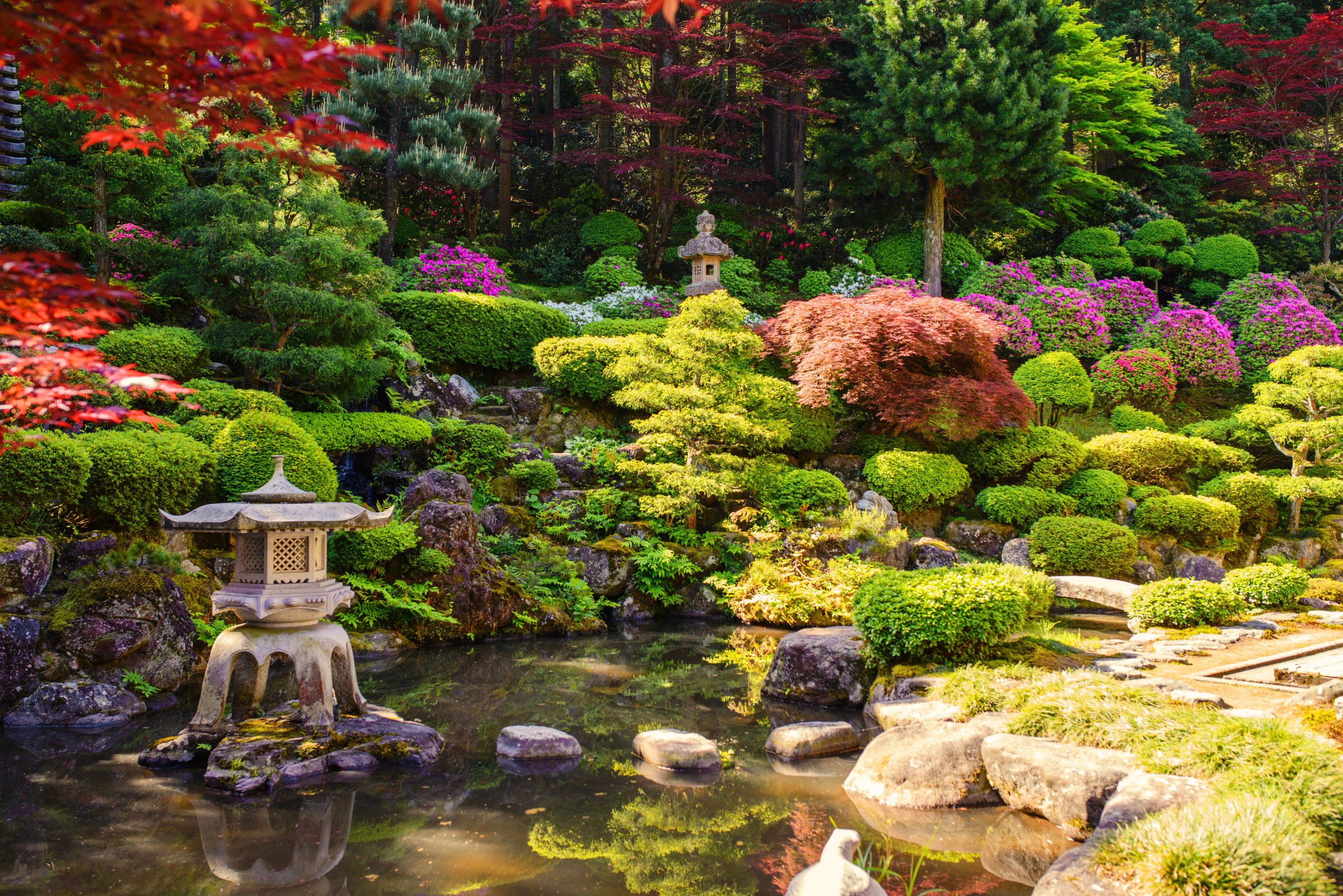 Japanese garden with pond