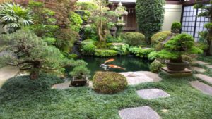 Japanese garden with koi fish in a pond