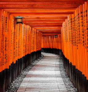 Fushimi Inari Grand Shrine Torii Gates