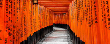 Fushimi Inari Grand Shrine Torii Gates
