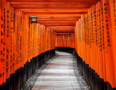 Fushimi Inari Grand Shrine Torii Gates
