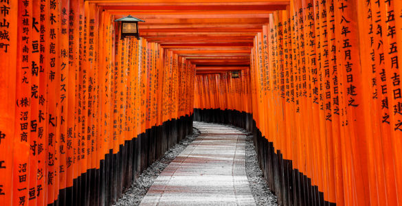Fushimi Inari Grand Shrine Torii Gates